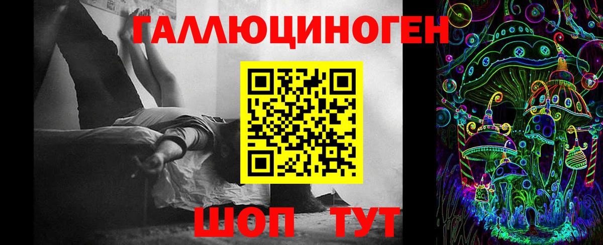 Псилоцибиновые грибы GOLDEN TEACHER  Вход с VPN  Сызрань 