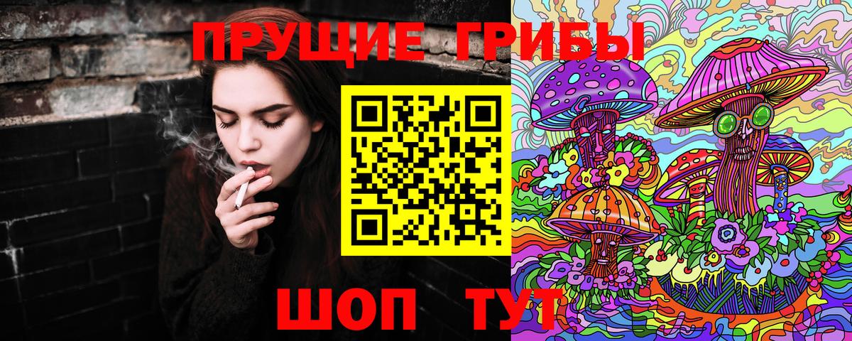 Псилоцибиновые грибы мицелий Сызрань